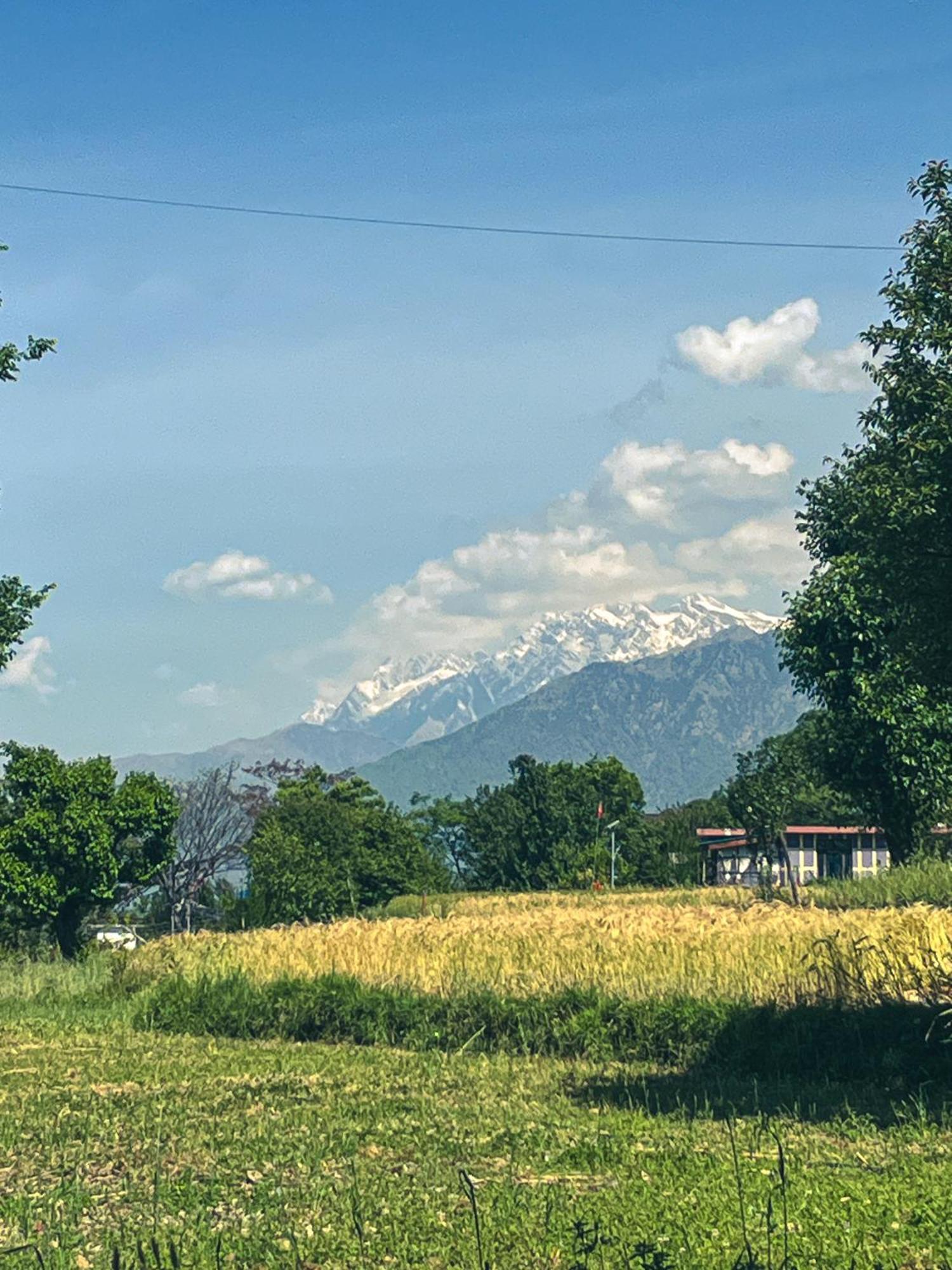 Хостел Destination Bir Экстерьер фото